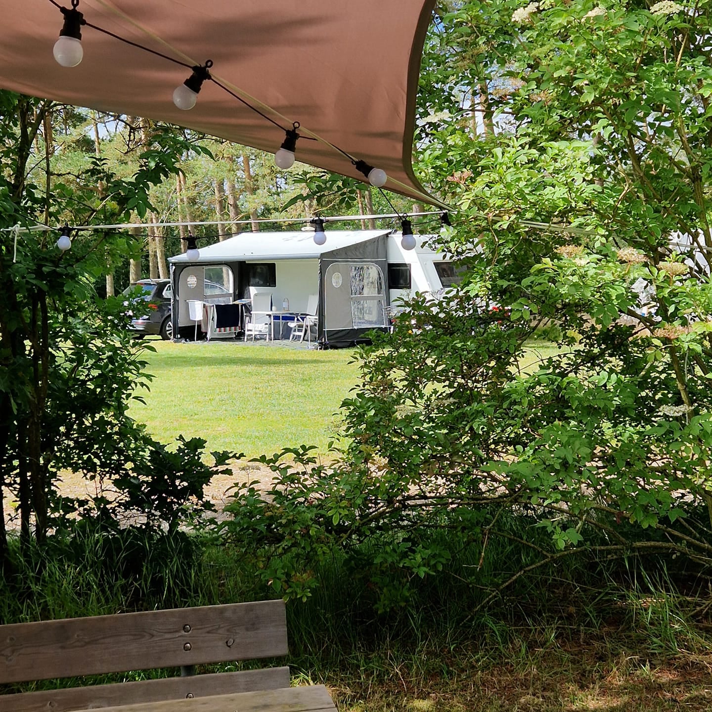 Børnevenlig familie campingplads med dyr Børnevenlig familie campingplads med dyr